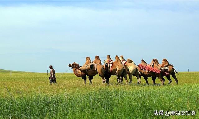 蒙古族的交通工具――除了马，你还在草原上体验过什么